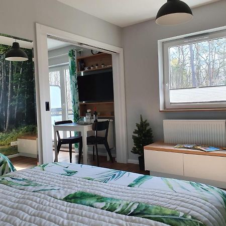 Green Apartment Miedzywodzie Luaran gambar